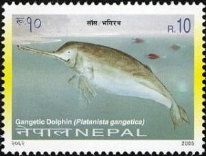 Colnect-550-647-Ganges-River-Dolphin-Platanista-gangetica.jpg