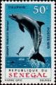 Colnect-2001-589-Bottlenose-Dolphin-Tursiops-truncatus.jpg