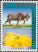 Colnect-2905-410-Tamaraw-Bubalus-mindorensis-Polar-Bear-Ursus-maritimus.jpg