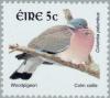 Colnect-129-888-Common-Woodpigeon-Columba-palumbus.jpg