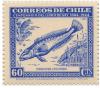 Colnect-1990-454-Chilean-Sandperch-Pinguipes-chilensis.jpg