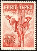 Colnect-2134-186-Ivory-billed-Woodpecker-Campephilus-principalis-.jpg