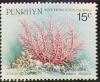 Colnect-1962-925-Elegante-Hydrocoral-Stylaster-elegans.jpg