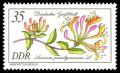 Stamps_of_Germany_%28DDR%29_1981%2C_MiNr_2577.jpg