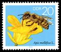 Stamps_of_Germany_%28DDR%29_1990%2C_MiNr_3297.jpg