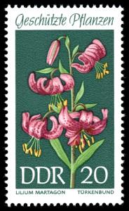 Stamps_of_Germany_%28DDR%29_1969%2C_MiNr_1459.jpg