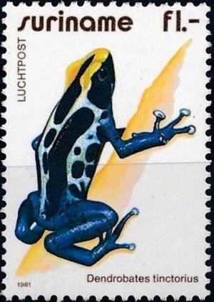 Colnect-3596-549-Dendrobates-tinctorius.jpg