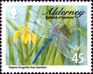 Colnect-5455-910-Emperor-Dragonfly-Anax-imperator.jpg