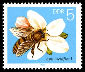 Stamps_of_Germany_%28DDR%29_1990%2C_MiNr_3295.jpg