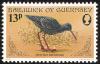 Colnect-2181-182-Spotted-Redshank-Tringa-erythropus-.jpg