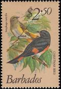 Colnect-578-228-American-Redstart-Setophaga-ruticilla.jpg