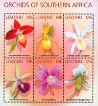 Colnect-1618-182-Orchids-of-Southern-Africa.jpg