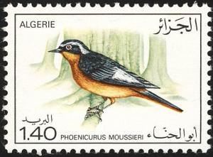 Colnect-2571-908-Moussier-s-Redstart-Phoenicurus-moussieri.jpg