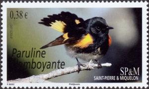 Colnect-2970-852-American-Redstart-Setophaga-ruticilla.jpg