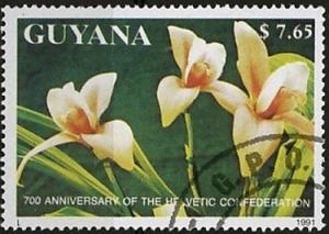 Colnect-3219-367-Orchids-Lycaste-virginalis.jpg