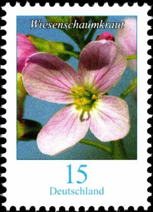 Colnect-5483-972-Milkmaids-Cardamine-pratensis.jpg