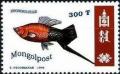 Colnect-1281-267-Green-Swordtail-Xiphophorus-helleri.jpg