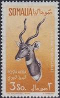 Colnect-4016-760-Lesser-Kudu-Strepsiceros-imberbis-.jpg