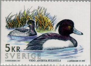 Colnect-164-789-Tufted-Duck-Aythya-fuligula-.jpg