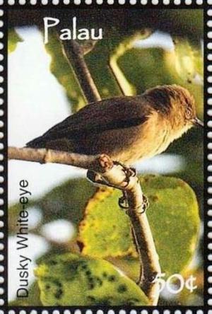 Colnect-5862-006-Dusky-white-eye.jpg