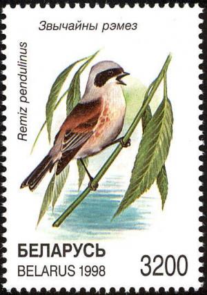 Colnect-857-418-Eurasian-Penduline-Tit-Remiz-pendulinus.jpg