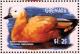 Colnect-4536-176-Ruddy-Shelduck----Tadorna-ferruginea.jpg