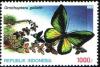 Colnect-940-769-Goliath-Birdwing-Ornithoptera-goliath.jpg