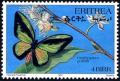 Colnect-2167-127-Goliath-Birdwing-Ornithoptera-goliath.jpg