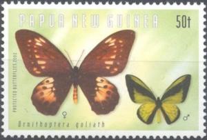 Colnect-3131-608-Goliath-Birdwing-Ornithoptera-goliath.jpg