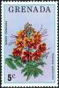 Colnect-5687-363-Dwarf-poinciana.jpg