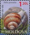 Colnect-2401-639-Burgundy-Snail-Helix-pomatia.jpg