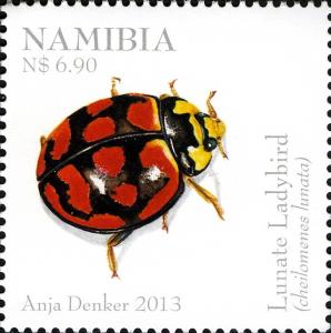 Colnect-3065-113-Lunate-Ladybird-Cheilomenes-lunata.jpg