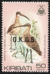 Colnect-1095-816-Bristle-thighed-Curlew-Numenius-tahitiensis.jpg