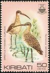 Colnect-1095-840-Bristle-thighed-Curlew-Numenius-tahitiensis.jpg