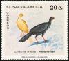 Colnect-1102-157-Highland-Guan-Penelopina-nigra.jpg