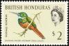 Colnect-1413-935-Rufous-tailed-Jacamar-Galbula-ruficauda.jpg