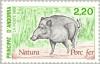 Colnect-142-092-Wild-Boar-Sus-scrofa.jpg