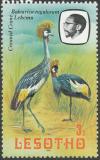 Colnect-1436-331-Grey-Crowned-Crane-Balearica-regulorum.jpg