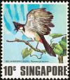 Colnect-1441-429-Red-whiskered-Bulbul-Pycnonotus-jocosus.jpg