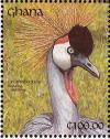 Colnect-1459-801-Grey-Crowned-Crane-Balearica-regulorum.jpg