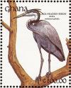 Colnect-1459-814-Black-headed-Heron-Ardea-melanocephala.jpg