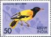 Colnect-1525-573-Black-hooded-Oriole-Oriolus-xanthornus.jpg