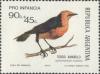 Colnect-1590-290-Saffron-crowled-Blackbird-Xanthopsar-flavus.jpg