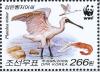 Colnect-1615-868-Black-faced-Spoonbill-Platalea-minor.jpg