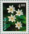 Colnect-162-636-European-Wood-Anemone-Anemone-nemorosa.jpg