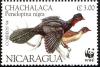 Colnect-1626-031-Highland-Guan-Penelopina-nigra.jpg