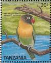 Colnect-1745-641-Yellow-collared-Lovebird-Agapornis-personata.jpg