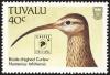 Colnect-1767-989-Bristle-thighed-Curlew-Numenius-tahitiensis.jpg