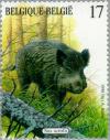 Colnect-187-328-Wild-Boar-Sus-scrofa.jpg