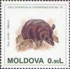 Colnect-191-713-Wild-Boar-Sus-scrofa.jpg